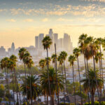 Vue de downtown Los Angeles avec des palmiers au premier plan.