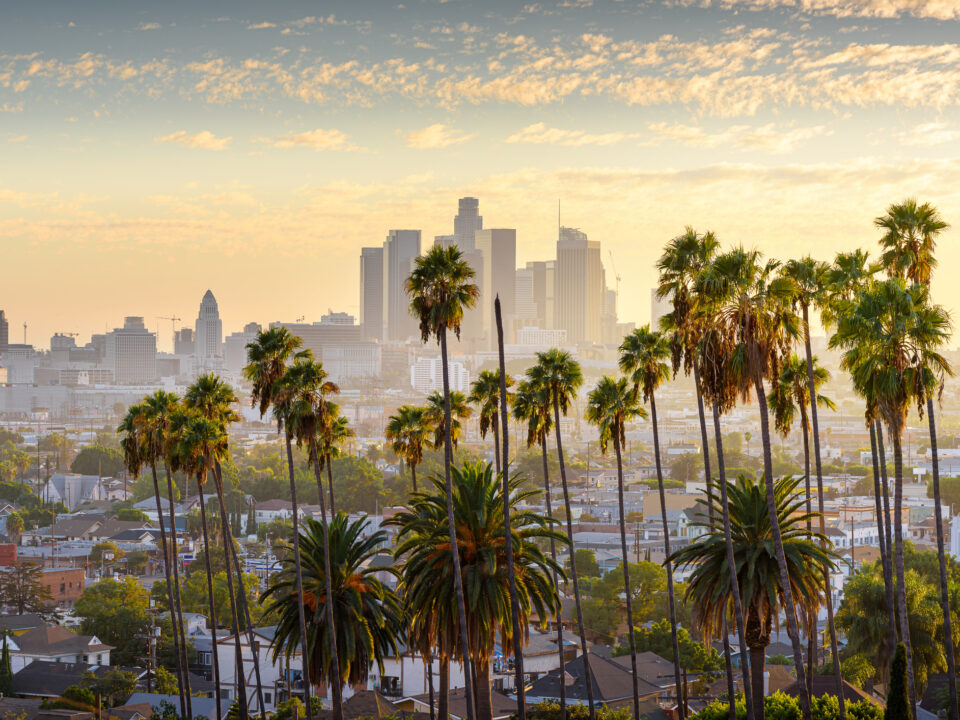 Vue de downtown Los Angeles avec des palmiers au premier plan.