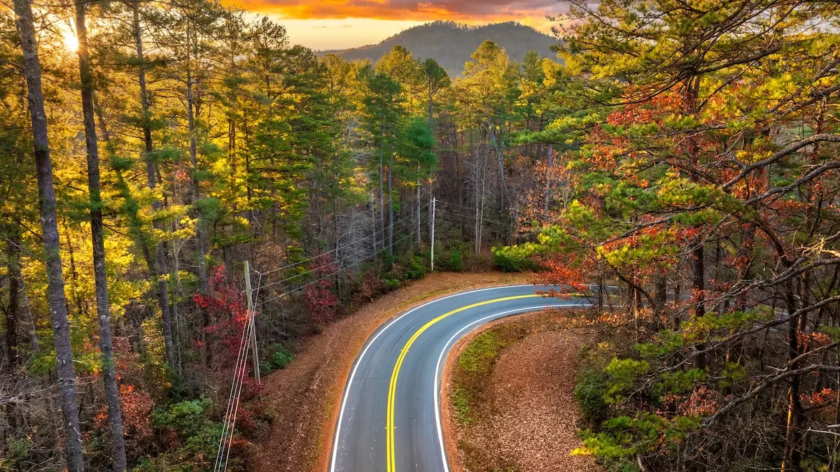 Virage d'une route traversant une forêt en automne aux États-Unis