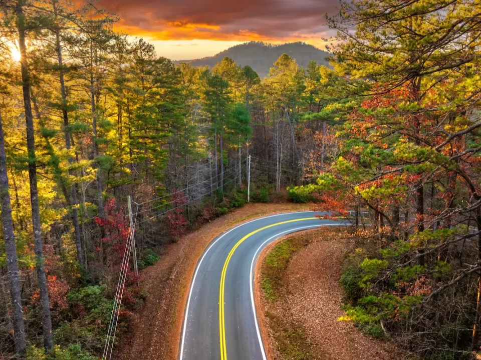 Virage d'une route traversant une forêt en automne aux États-Unis