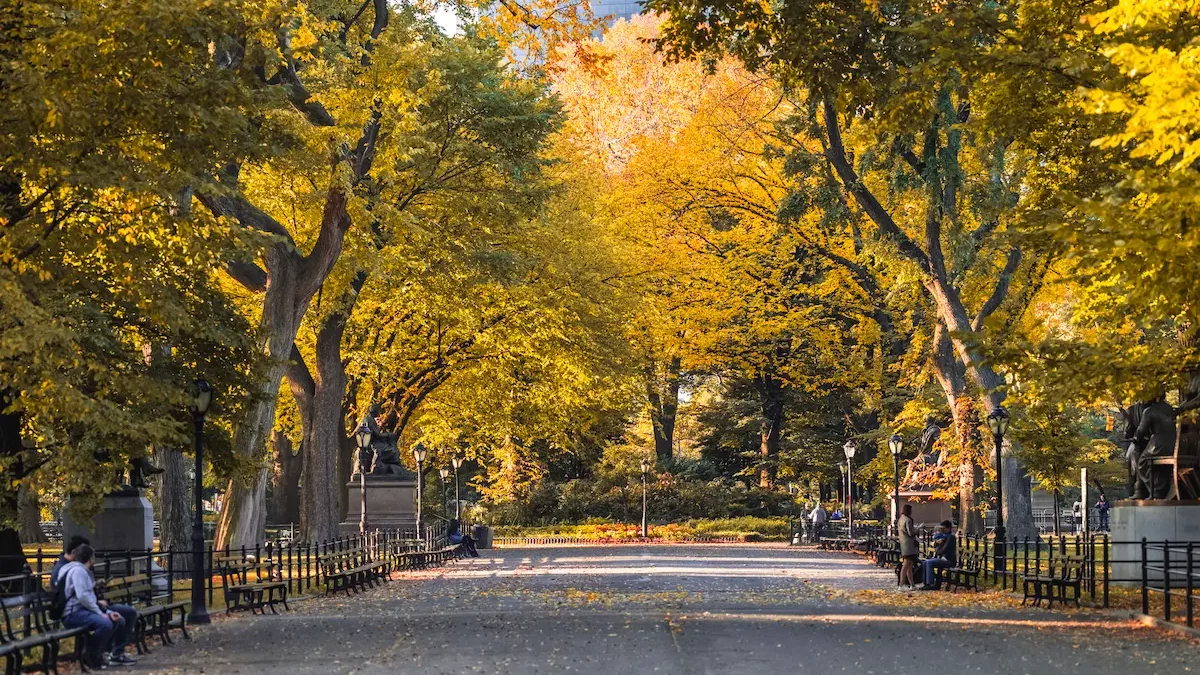 promenade des poètes à Central Park à New York