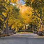 promenade des poètes à Central Park à New York